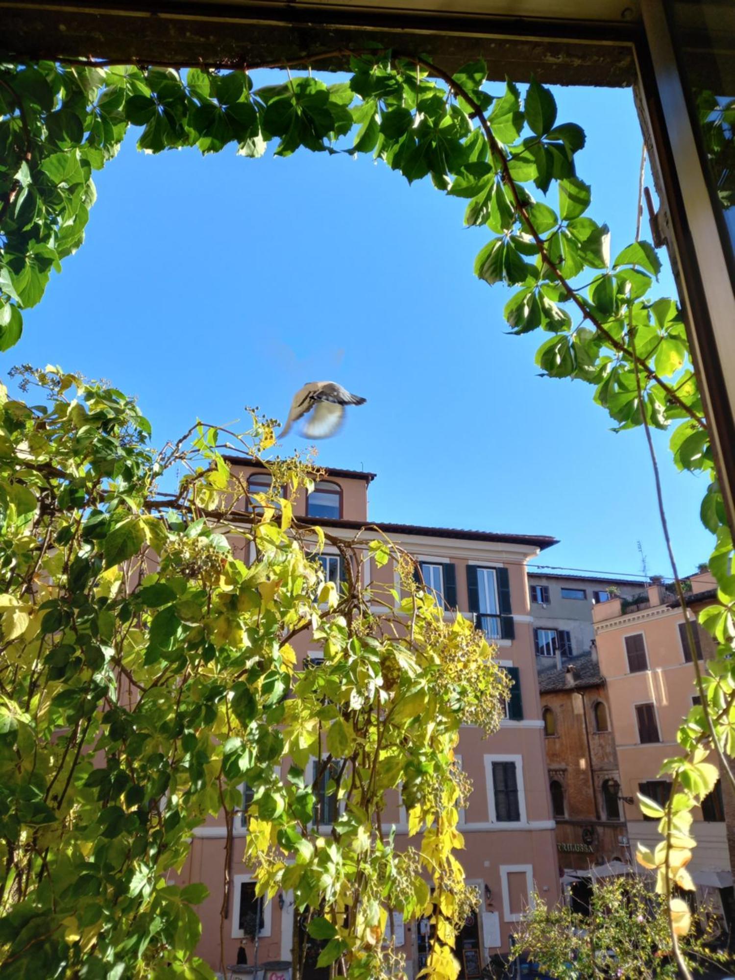 Central Apartment In Trastevere Roma Habitación foto